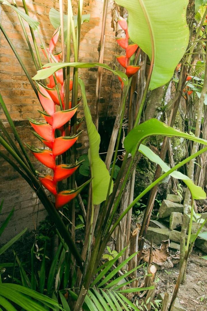 Casa de férias Refugio Toninhas - Pe Na Areia